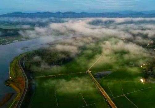 2023年裕安區高標準農田建設蘇埠鎮片區